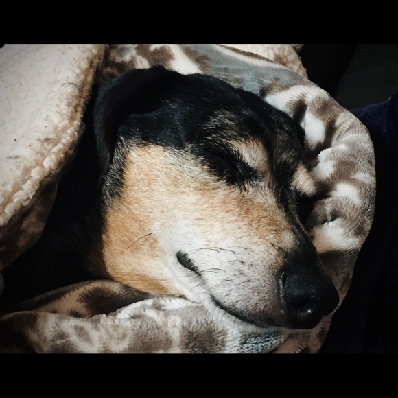 Meet your Posher, Erin & Hecate - Picture 13 of 16